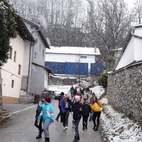 schnee