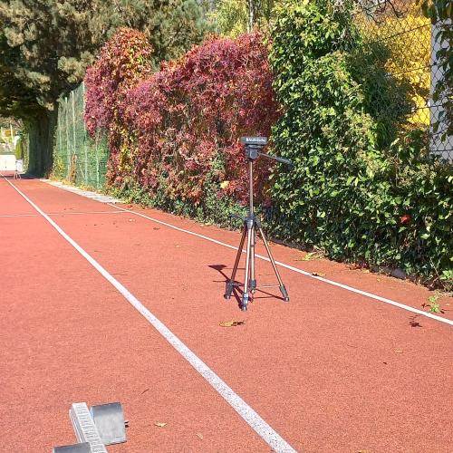 sport