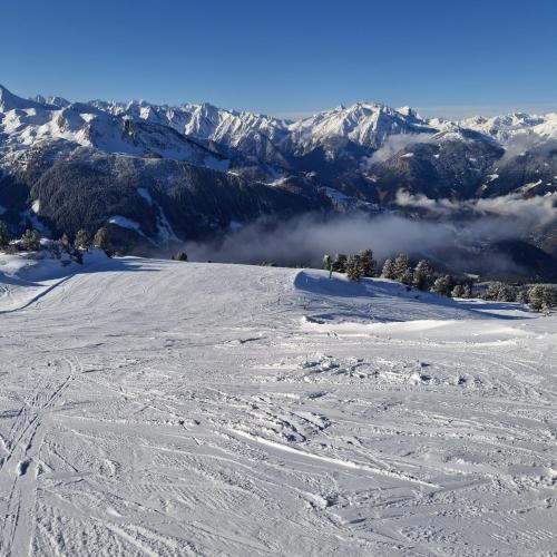 schnee
