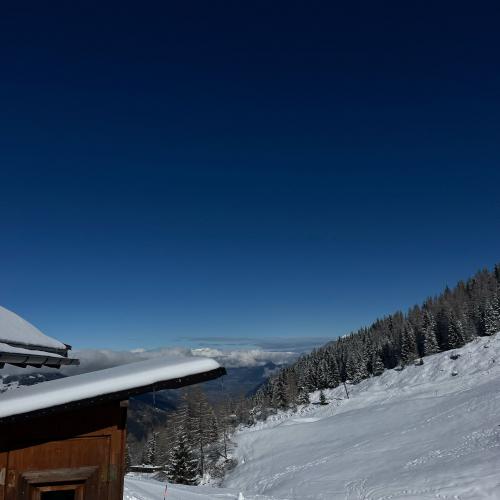 schnee