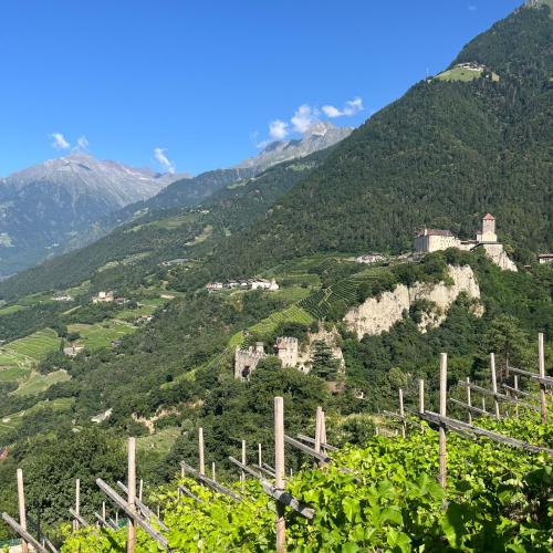 bozen