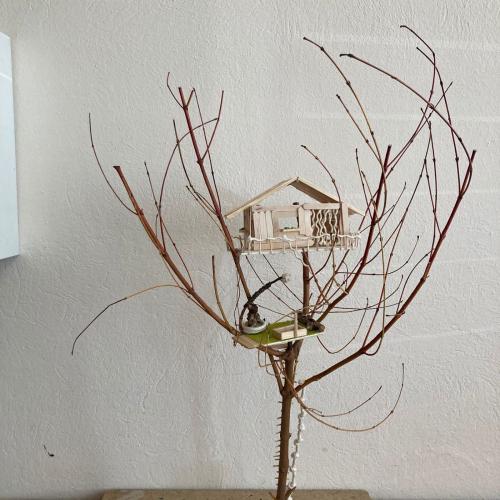 baum