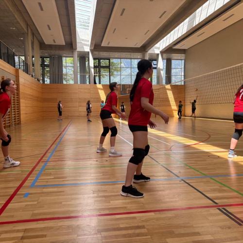 volleyball