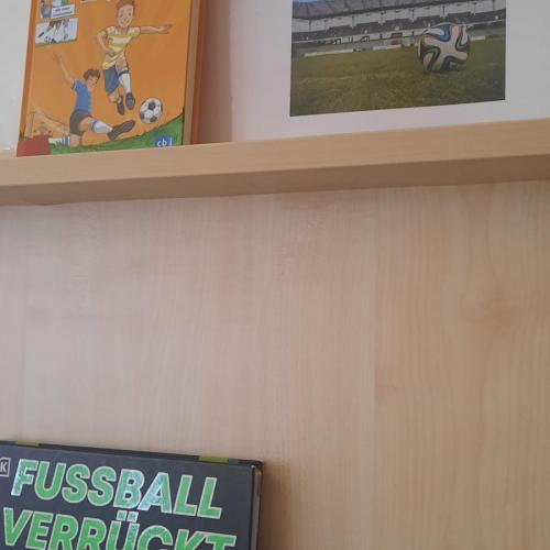 fußball