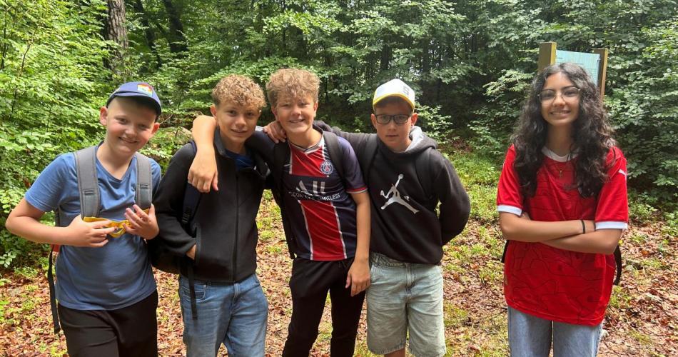 wald